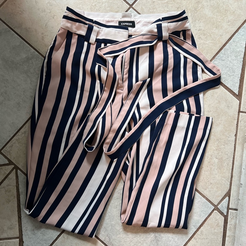 Express Navy and Pink Striped Trousers